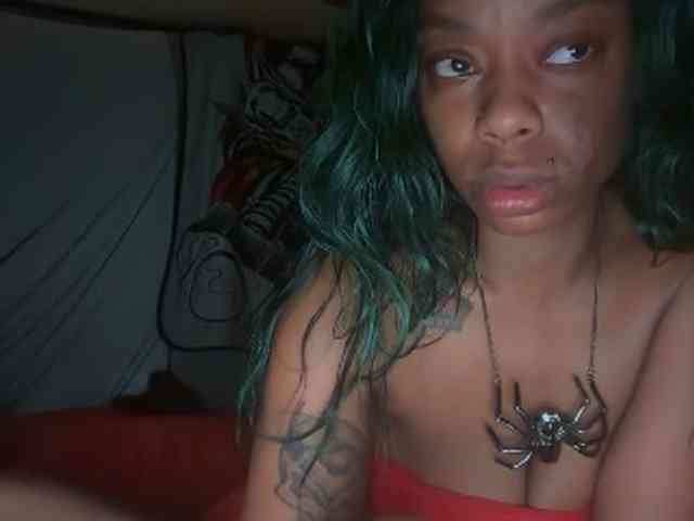 DelightfulDark webcam