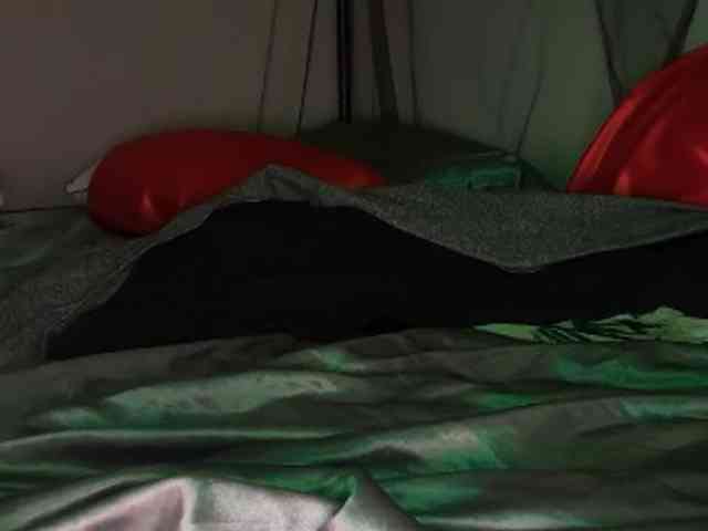 DelightfulDark webcam