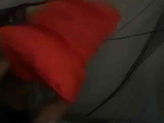 DelightfulDark webcam