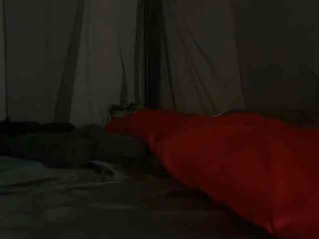 DelightfulDark webcam