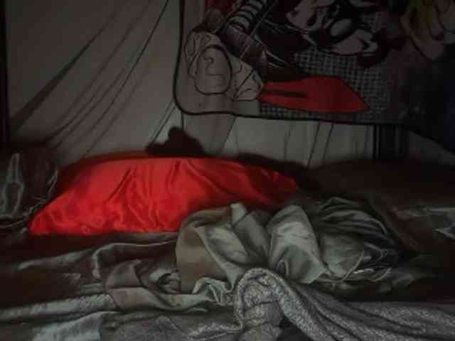 DelightfulDark webcam