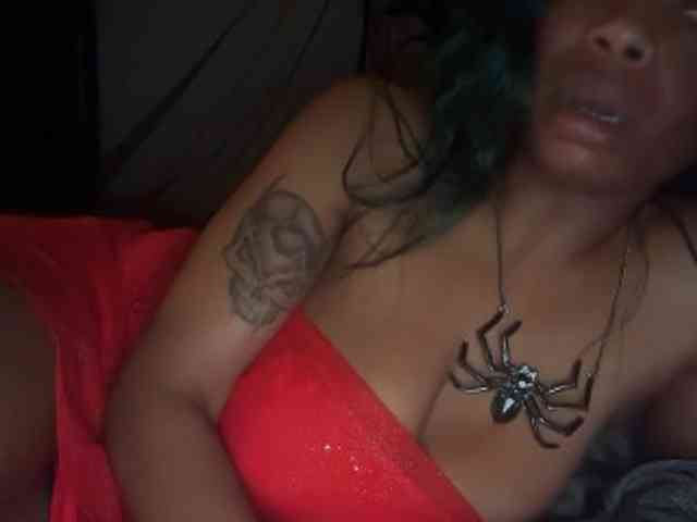 DelightfulDark webcam