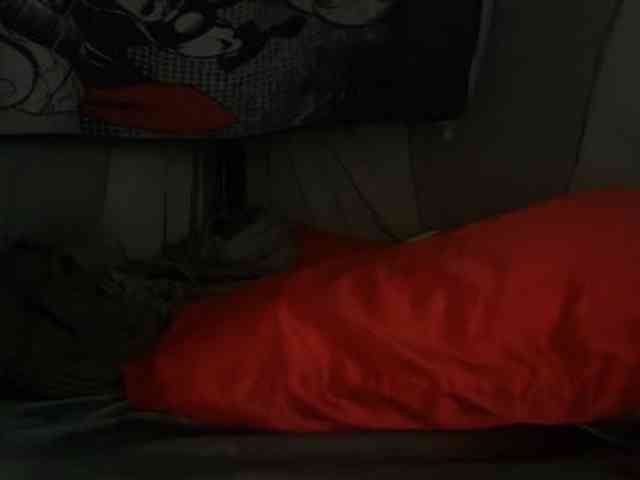 DelightfulDark webcam