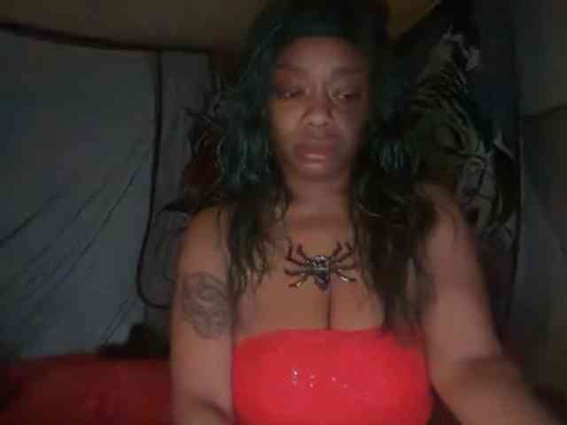 DelightfulDark webcam