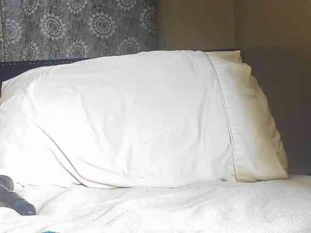 Lucienah webcam