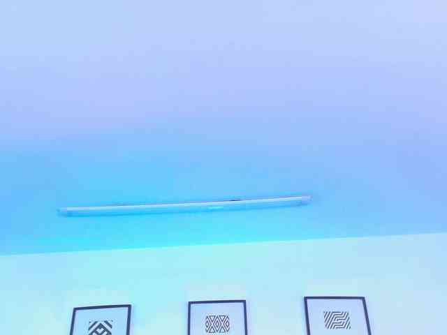SophieCarther webcam