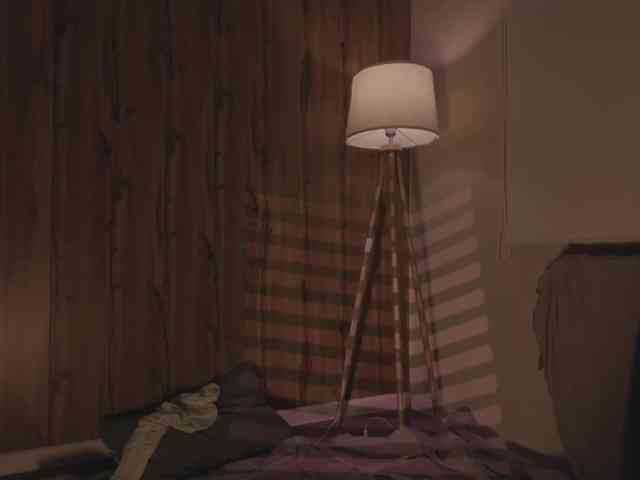 Maddison webcam