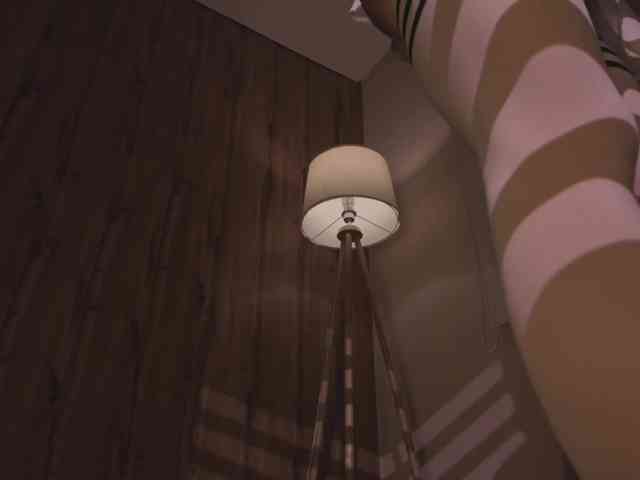 Maddison webcam