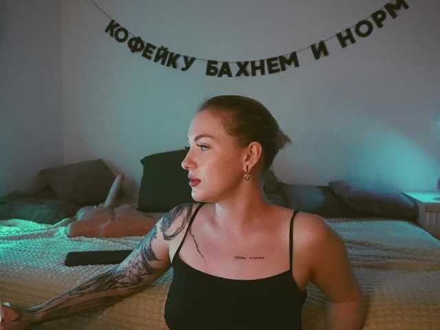 STANOVAYA300KG webcam
