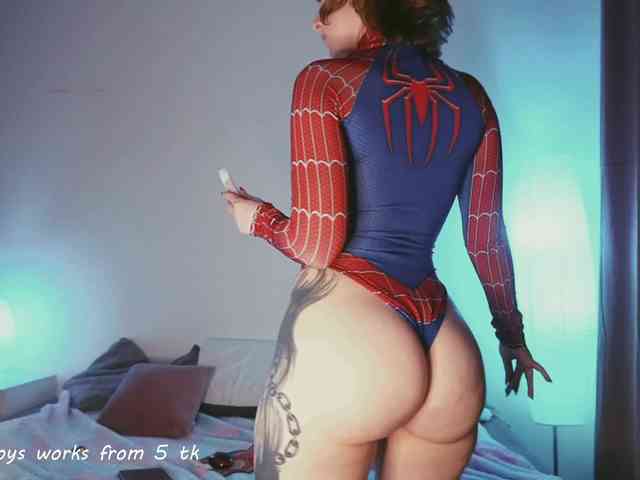 STANOVAYA300KG webcam