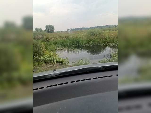 Рунетки: , секс чат бесплатно