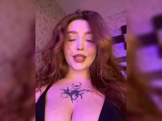 Harita webcam