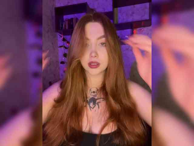 Harita webcam