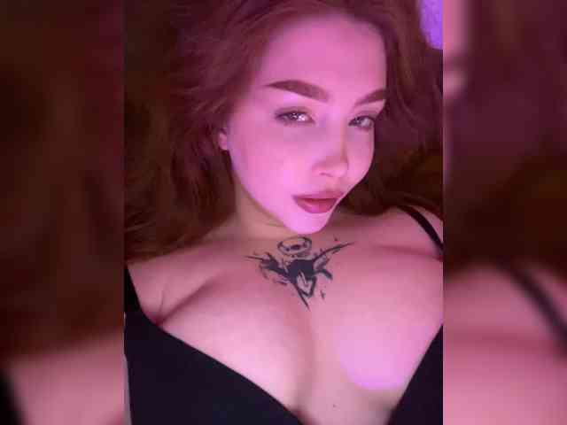 Harita webcam