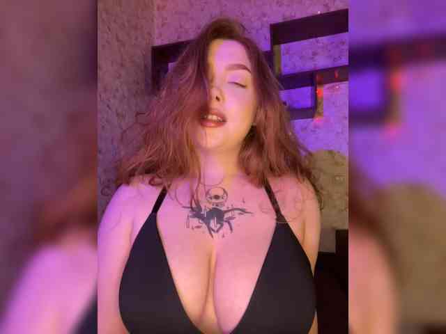 Harita webcam