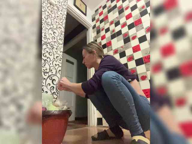 Saveta webcam