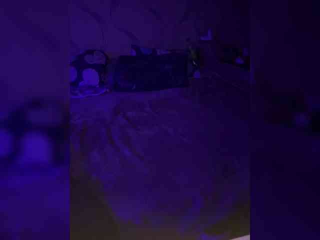Kot-i-Koshkaa webcam