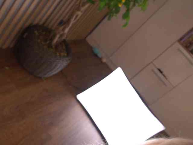 kateline webcam