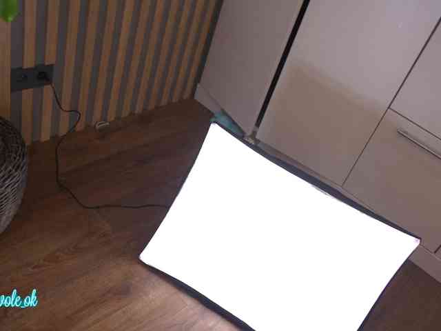 kateline webcam