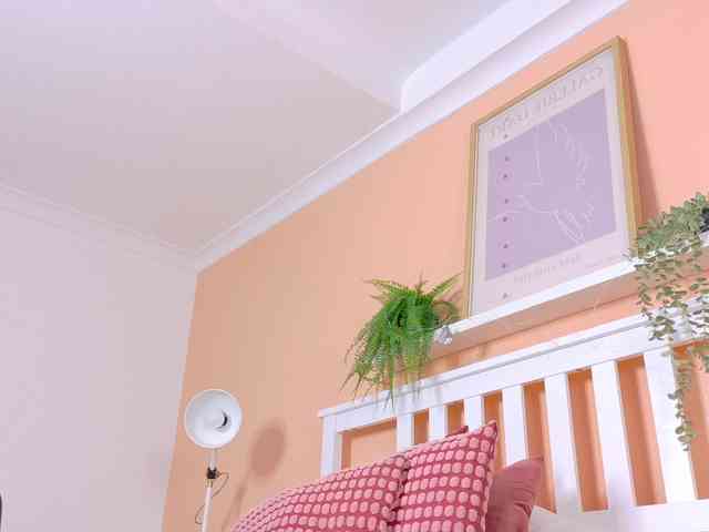 Kendalmiller webcam