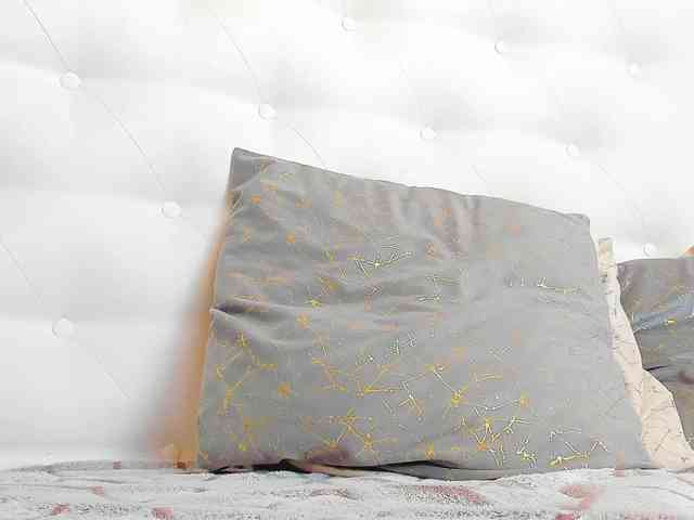 Karissia-X webcam