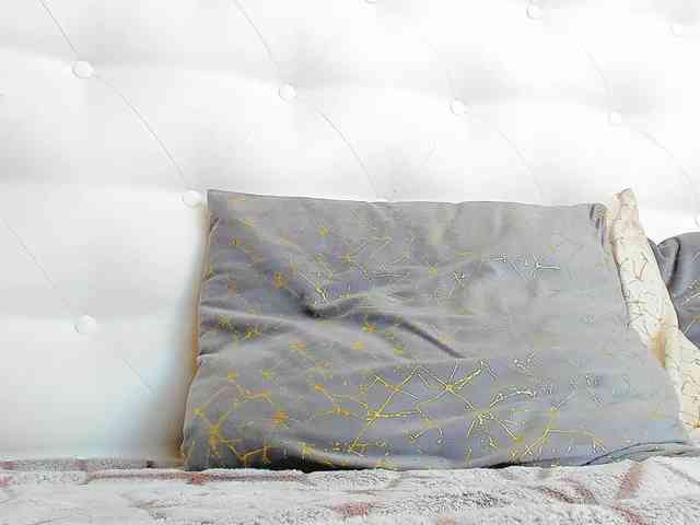 Karissia-X webcam