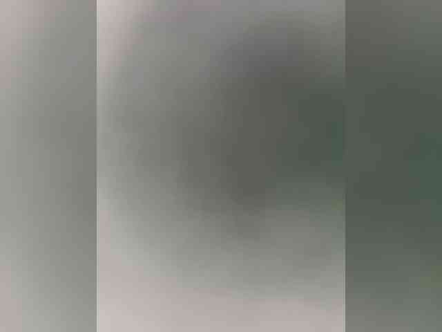 Narrri webcam