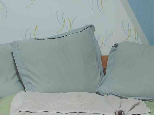 enchaleur76-1 webcam