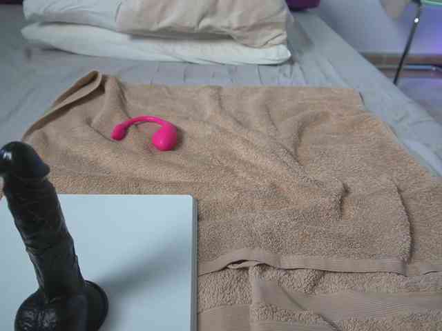 new1dee webcam