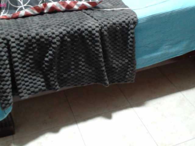 paloma12 webcam