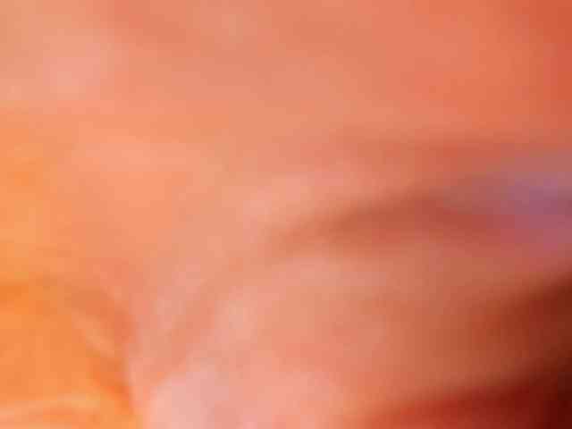 hayneiko webcam