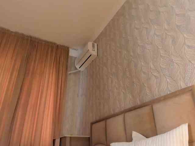 hayneiko webcam