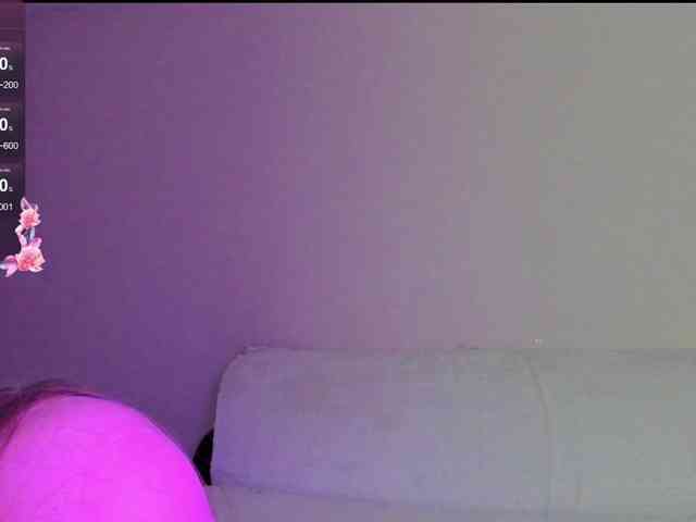 may-flower webcam
