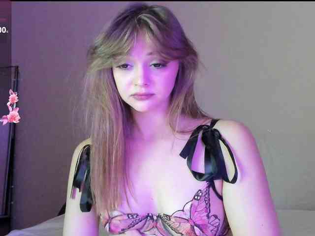 may-flower webcam