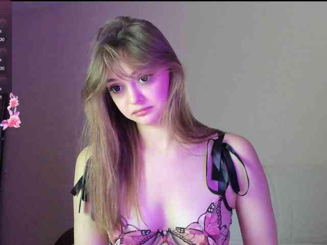 may-flower webcam