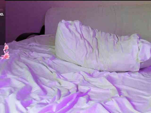 may-flower webcam
