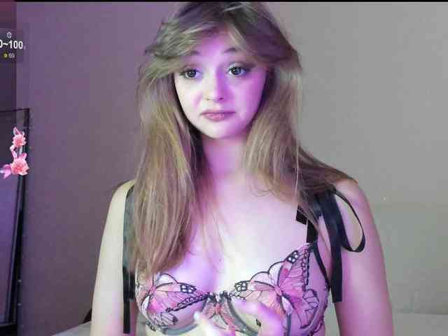 may-flower webcam