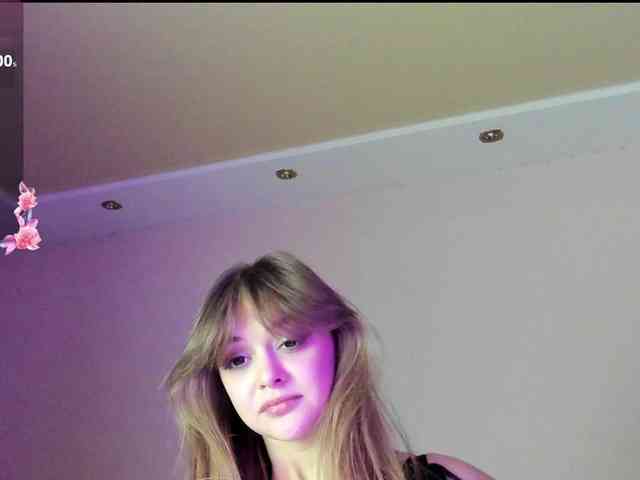 may-flower webcam
