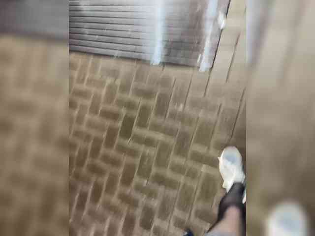 MirandaNow webcam