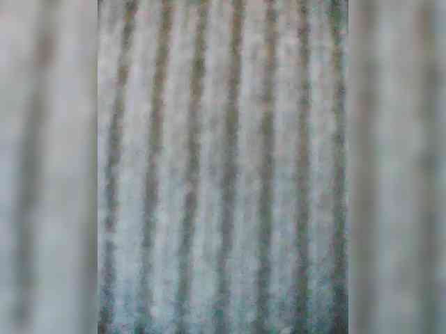 Molie-777 webcam
