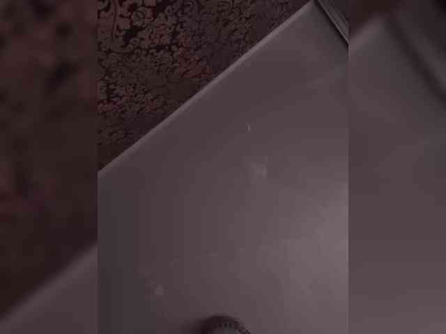 praesertim webcam