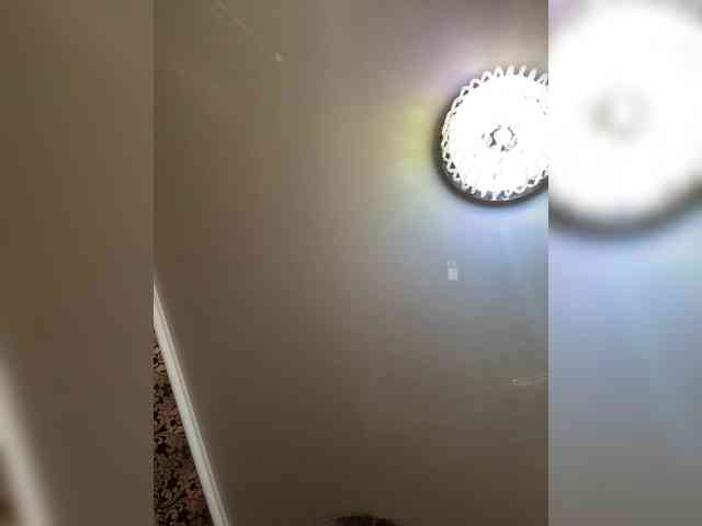praesertim webcam