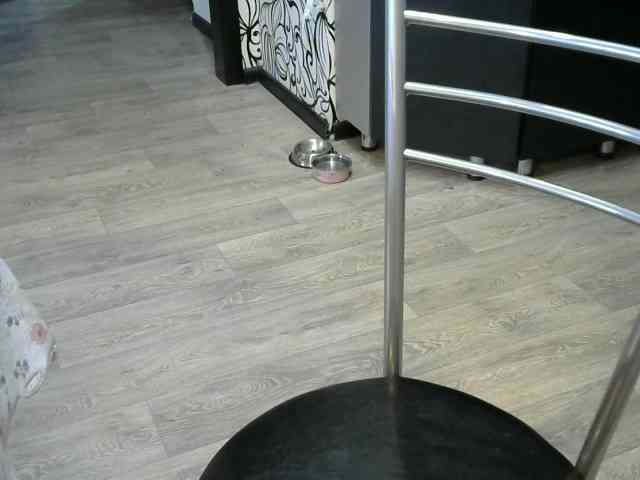 Affectionate-Fairy webcam