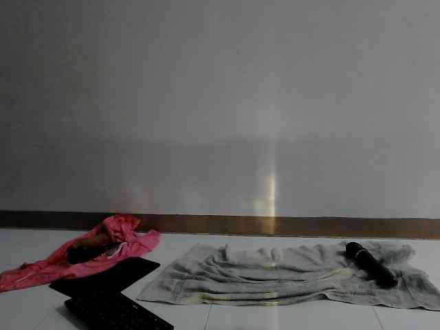 titsnrice webcam