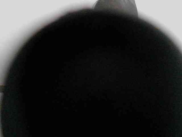 titsnrice webcam