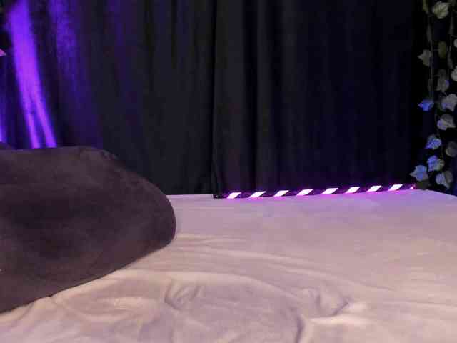Silerta webcam