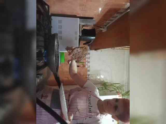 N-I-M-F-O-M-A-N-K-A webcam