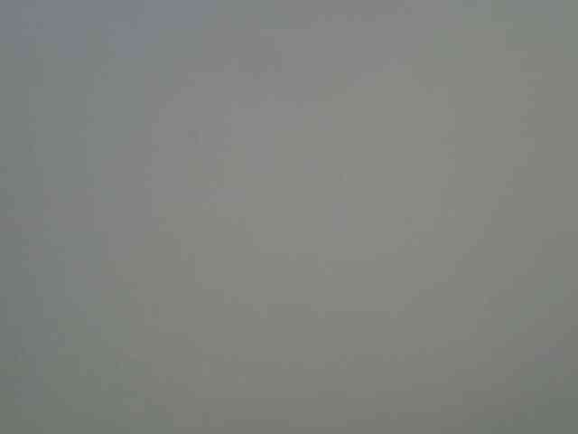 jesicakimani webcam