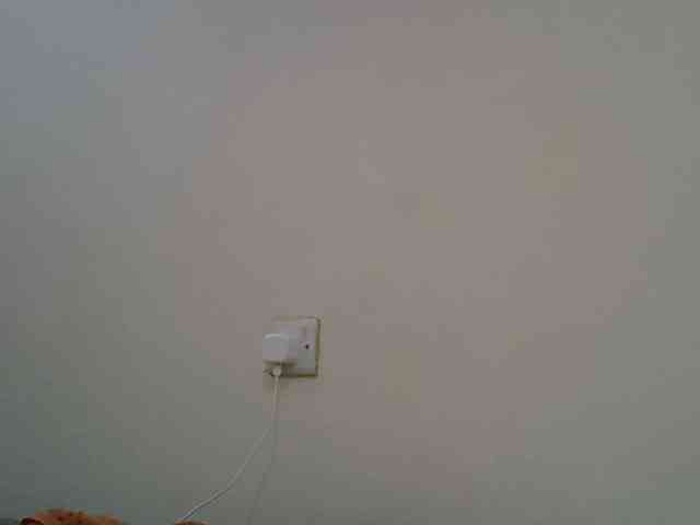 jesicakimani webcam