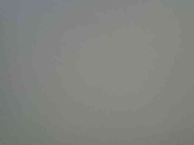 jesicakimani webcam